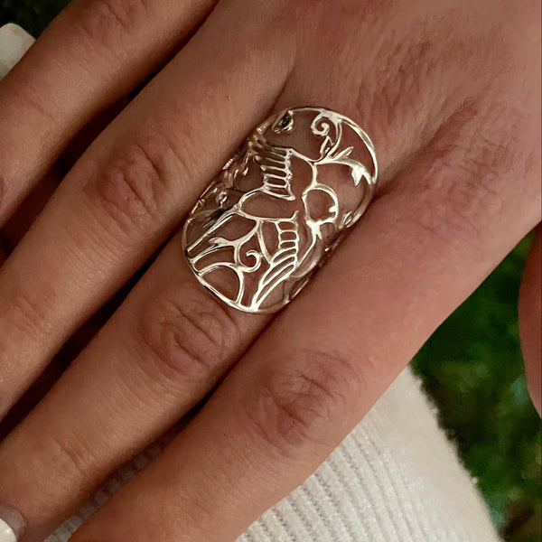 ANILLO ALBA